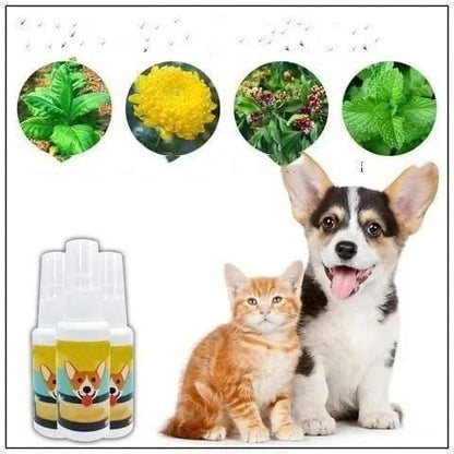 Natural Potty Training Spary for Dog & Cat (Pack of 2) 30ml each